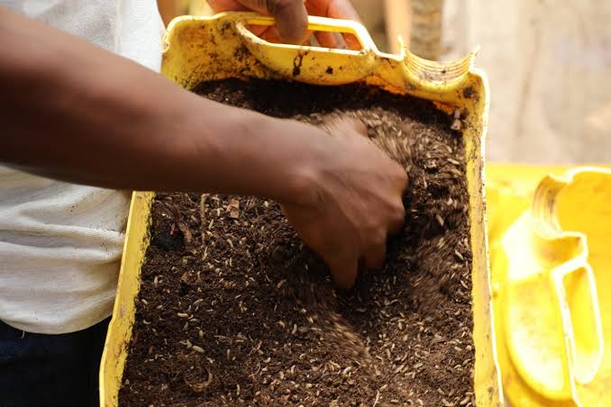 LiquidGold waste-collection team sorting organic feedstock at source